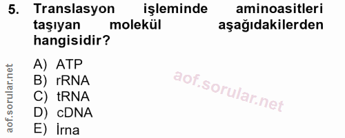 5. soru: Translasyon işleminde aminoasitleri taşıyan molekül aşağıdakilerden hangisidir? A) ATP B) rRNA C) tRNA D) cDNA E) irna