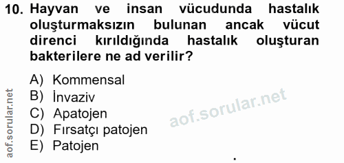 10. soru: Hayvan ve insan vücudunda hastalık oluşturmaksızın bulunan ancak vücut direnci kırıldığında hastalık oluşturan bakter…