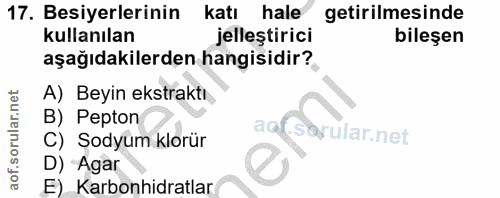17. soru: Besiyerlerinin katı hale getirilmesinde kullanılan jelleştirici bileşen aşağıdakilerden hangisidir? A) Beyin ekstrakt…