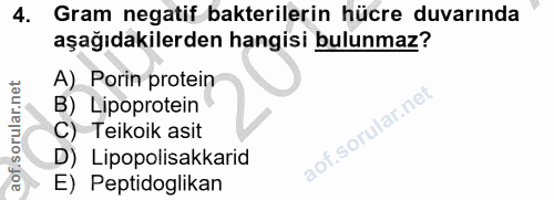 4. soru: Gram negatif bakterilerin hücre duvarında aşağıdakilerden hangisi bulunmaz? A) Porin protein B) Lipoprotein C) Teikoi…