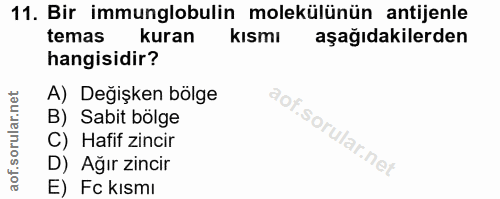 11. soru: Bir immunglobulin molekülünün antijenle temas kuran kısmı aşağıdakilerden hangisidir? A) Değişken bölge B) Sabit bölg…