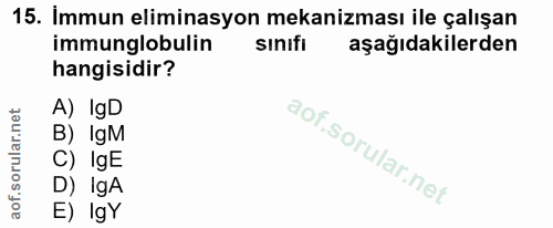 15. soru: İmmun eliminasyon mekanizması ile çalışan immunglobulin sinifi aşağıdakilerden hangisidir? A) lgD B) IgM C) IgE D) Ig…