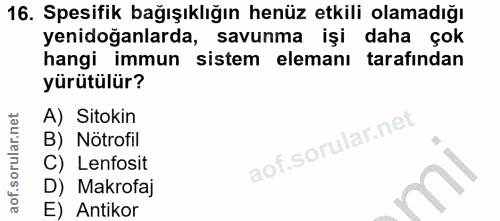 16. soru: Spesifik bağışıklığın henüz etkili olamadığı yenidoğanlarda, savunma işi daha çok hangi immun sistem elemanı tarafınd…