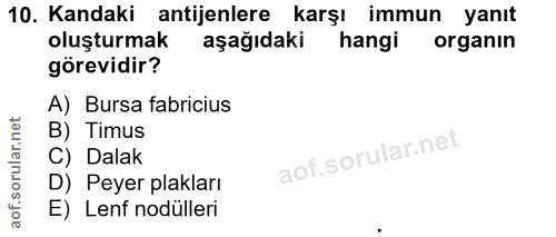 10. soru: Kandaki antijenlere karşı immun yanıt oluşturmak aşağıdaki hangi organın görevidir? A) Bursa fabricius B) Timus C) Da…