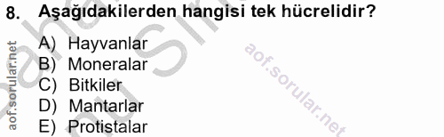8. soru: Aşağıdakilerden hangisi tek hücrelidir? A) Hayvanlar B) Moneralar C) Bitkiler D) Mantarlar E) Protistalar