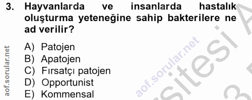3. soru: Hayvanlarda ve insanlarda hastalık oluşturma yeteneğine sahip bakterilere ne ad verilir? A) Patojen B) Apatojen C) Fi…