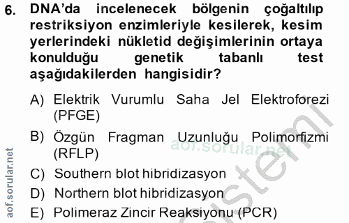 6. soru: DNA'da incelenecek bölgenin çoğaltılıp restriksiyon enzimleriyle kesilerek, kesim yerlerindeki nükletid değişimlerini…