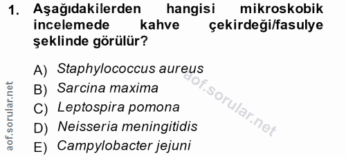 1. soru: Aşağıdakilerden hangisi mikroskobik incelemede kahve çekirdeği/fasulye şeklinde görülür? A) Staphylococcus aureus B)…