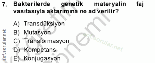 7. soru: Bakterilerde genetik materyalin faj vasıtasıyla aktarımına ne ad verilir? A) Transdüksiyon B) Mutasyon C) Transformas…