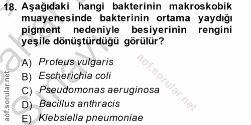 18. soru: Aşağıdaki hangi bakterinin makroskobik muayenesinde bakterinin ortama yaydığı pigment nedeniyle besiyerinin rengini y…