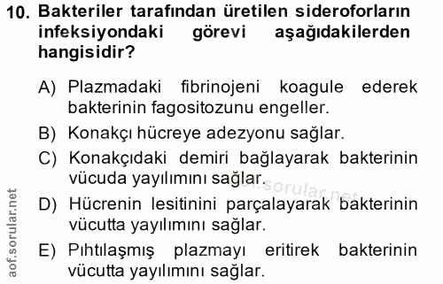 10. soru: Bakteriler tarafından üretilen sideroforların ineksiyondaki görevi aşağıdakilerden hangisidir? A) Plazmadaki fibrinoj…