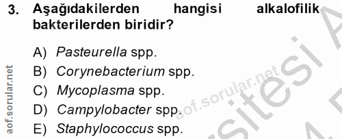 3. soru: Aşağıdakilerden hangisi alkalofilik bakterilerden biridir? A) Pasteurella spp. B) Corynebacterium spp. C) Mycoplasma…