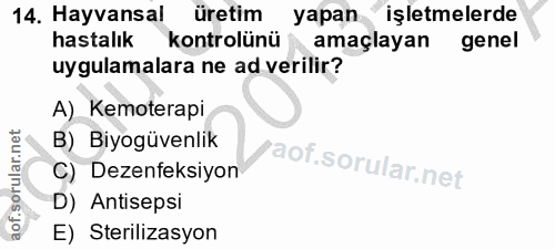 14. soru: Hayvansal üretim yapan işletmelerde hastalık kontrolünü amaçlayan genel uygulamalara ne ad verilir? A) Kemoterapi B)…