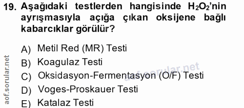 19. soru: Aşağıdaki testlerden hangisinde HzOz'nin ayrışmasıyla açığa çıkan oksijene bağlı kabarcıklar görülür? A) Metil Red (M…