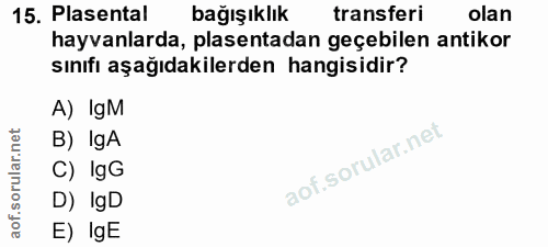 15. soru: Plasental bağışıklık transferi olan hayvanlarda, plasentadan geçebilen antikor sınıfı aşağıdakilerden hangisidir? A)…