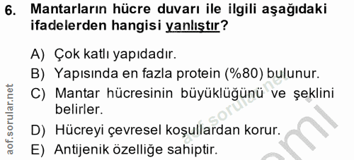 6. soru: Mantarların hücre duvarı ile ilgili aşağıdaki ifadelerden hangisi yanlıştır? A) Çok katlı yapıdadır. B) Yapısında en…