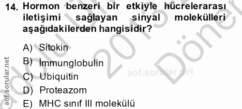 14. soru: Hormon benzeri bir etkiyle hücrelerarası iletişimi saglayan sinyal molekülleri aşağıdakilerden hangisidir? A) Sitokin…