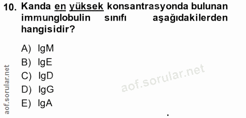 10. soru: Kanda en yüksek konsantrasyonda bulunan immunglobulin sınıfı aşağıdakilerden hangisidir? A) lgM B) IgE C) lgD D) IgG…