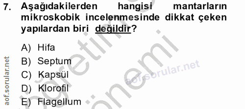 7. soru: Aşağıdakilerden hangisi mantarların mikroskobik incelenmesinde dikkat çeken yapılardan biri değildir? A) Hifa B) Sept…