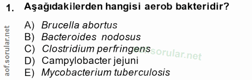 1. soru: Aşağıdakilerden hangisi aerob bakteridir? A) Brucella abortus B) Bacteroides nodosus C) Clostridium pertringens D) Ca…
