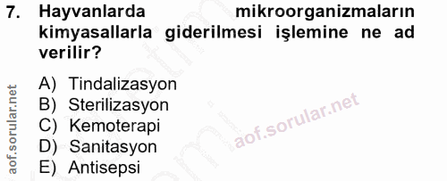 7. soru: Hayvanlarda mikroorganizmaların kimyasallarla giderilmesi işlemine ne ad verilir? A) Tindalizasyon B) Sterilizasyon C…