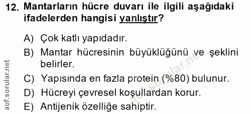 12. soru: Mantarların hücre duvarı ile ilgili aşağıdaki ifadelerden hangisi yanlıştır? A) Çok katlı yapıdadır. B) Mantar hücres…