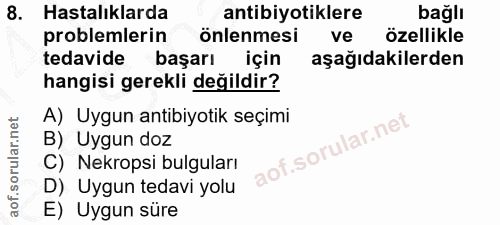 8. soru: Hastalıklarda antibiyotiklere bağlı problemlerin önlenmesi ve özellikle tedavide başarı için aşağıdakilerden hangisi…
