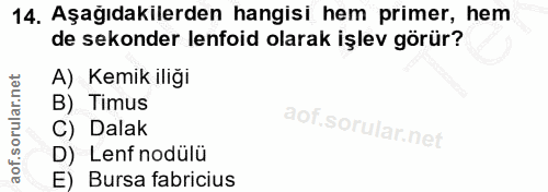 14. soru: Aşagıdakılerden hangisi hem primer, hem de sekonder lenfoid olarak işlev görür? A) Kemik iliğı B) Timus C) Dalak D) L…