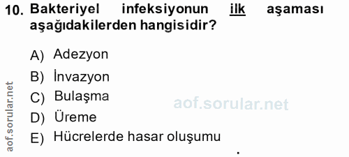 10. soru: Bakteriyel ineksiyonun ilk aşaması aşağıdakilerden hangisidir? A) Adezyon B) Invazyon C) Bulaşma D) Üreme E) Hücreler…