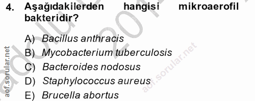 4. soru: Aşağıdakilerden hangisi mikroaerofil bakteridir? A) Bacillus anthracis B)_ Mycobacterium tuberculosis C) Bacteroides…