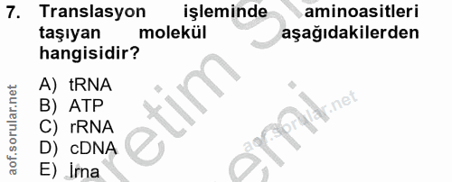 7. soru: Translasyon işleminde aminoasitleri taşıyan molekül aşağıdakilerden hangisidir? A) tRNA B) ATP PPtinee C) rRNA D) cDN…