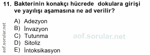 11. soru: Bakterinin konakçı hücrede dokulara girişi ve yayılışı aşamasına ne ad verilir? A) Adezyon B) İnvazyon C) Tutunma D)…