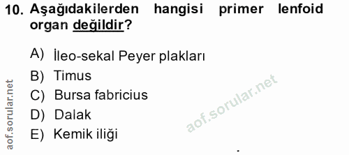 10. soru: Aşağıdakilerden hangisi primer lenfoid organ değildir? A) İleo-sekal Peyer plakları B) Timus C) Bursa fabricius D) Da…