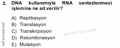 2. soru: DNA kullanımıyla RNA sentezlemesi işlemine ne ad verilir? A) Replikasyon B) Translasyon C) Transkripsiyon D) Rekombin…