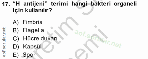 17. soru: "H antijeni" terimi hangi bakteri organeli için kullanılır? A) Fimbria B) Flagella aot.se C) Hücre duvarı ar.net D) K…