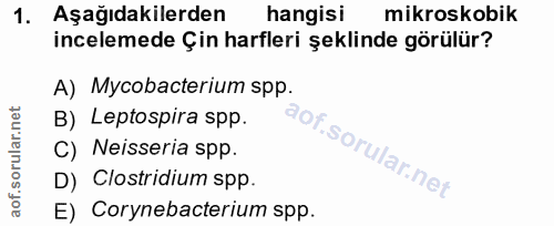 1. soru: Aşağıdakilerden hangisi mikroskobik incelemede Çin harfleri şeklinde görülür? A) Mycobacterium spp. B) Leptospira spp…