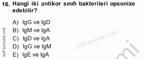 16. soru: Hangi iki antikor sınıfı bakterileri opsonize edebilir? A) IgG ve lgD B) lgM ve lgA C) IgD ve lgA D) _ IgG ve lgM E)…