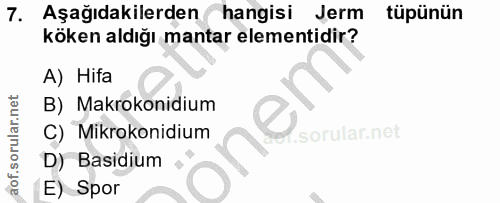 7. soru: Aşağıdakilerden hangisi Jerm tüpünün köken aldığı mantar elementidir? A) Hifa B) Makrokonidium C) Mikrokonidium D) Ba…