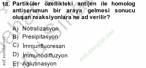 18. soru: Partiküler özellikteki antijen ile homolog antiserumun bir araya gelmesi sonucu oluşan reaksiyonlara ne ad verilir? A…