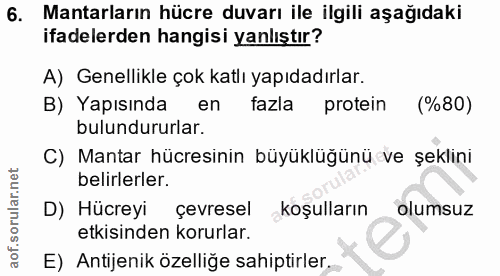 6. soru: Mantarların hücre duvarı ile ilgili aşağıdaki ifadelerden hangisi yanlıştır? A) Genellikle çok katlı yapıdadırlar. B)…