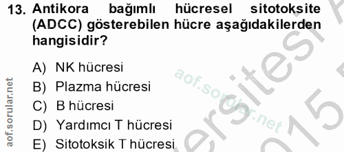13. soru: Antikora bağımlı hücresel sitotoksite (ADCC) gösterebilen hücre aşağıdakilerden hangisidir? A) NK hücresi 2oF B) Plaz…