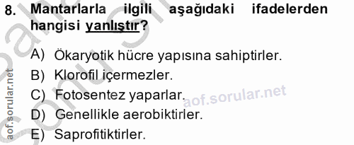 8. soru: Mantarlarla ilgili aşağıdakı ifadelerden hangisi yanlıştır? A) Ökaryotik hücre yapısına sahiptirler. B) Klorofil içer…