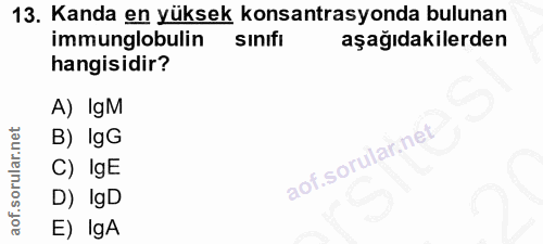 13. soru: Kanda en yüksek konsantrasyonda bulunan immunglobulin sinıfi aşağıdakilerden hangisidir? A) IgM B) IgG C) IgE D) IgD…