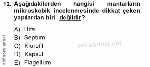 12. soru: Aşağıdakilerden hangisi mantarların mikroskobik incelenmesinde dikkat çeken yapılardan biri değildir? A) Hifa B) Sept…