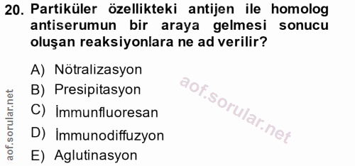 20. soru: Partiküler özellikteki antijen ile homolog antiserumun bir araya gelmesi sonucu oluşan reaksiyonlara ne ad verilir? A…