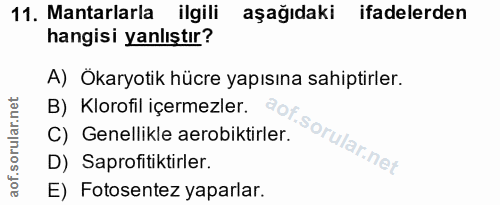 11. soru: Mantarlarla ilgili aşağıdaki ifadelerden hangisi yanlıştır? A) Ökaryotik hücre yapısına sahiptirler. B) Klorofil içer…