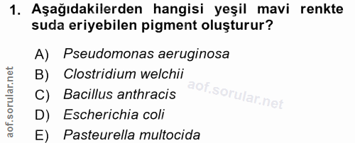 1. soru: Aşağıdakilerden hangisi yeşil mavi renkte suda eriyebilen pigment oluşturur? A) Pseudomonas aeruginosa B) Clostridium…
