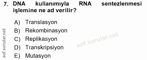 7. soru: DNA kullanımıyla RNA sentezlemesi işlemine ne ad verilir? A) Translasyon B) Rekombinasyon C) Replikasyon D) Transkrip…