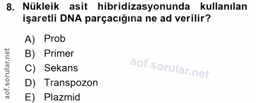 8. soru: Nükleik asit hibridizasyonunda kullanılan işaretli DNA parçacığına ne ad verilir? A) Prob B) Primer C) Sekans D) Tran…