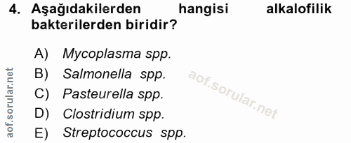 4. soru: Aşağıdakilerden hangisi alkalofilik bakterilerden biridir? A) Mycoplasma spp. B) Salmonella spp. C) Pasteurella spp.…